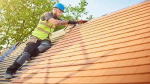 Best Roof Maintenance and Cleaning  in Sauk Rapids, MN